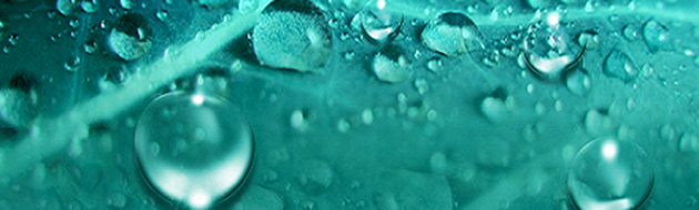 Image-Here